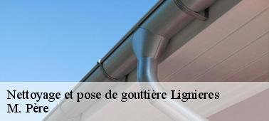 Les dispositions légales qui régissent les gouttières dans la ville de Lignieres et ses environs