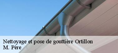 Comment procèdent les couvreurs pour le nettoyage de la gouttière dans la ville de Ortillon et ses environs
