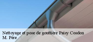 La sécurisation de l'espace de travail pour le nettoyage de la gouttière à Paisy Cosdon dans le 10160