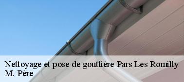 Les moments de la réalisation des travaux de nettoyage de la gouttière à Pars Les Romilly dans le 10100