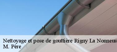 Les solutions qui se présentent pour le nettoyage de la gouttière d'une maison à Rigny La Nonneuse dans le 10290
