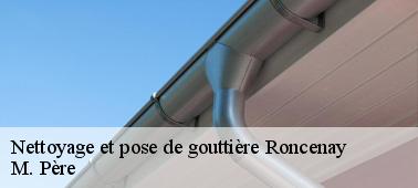 Couvreur pose de gouttière à Roncenay 