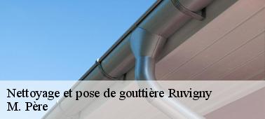 Entreprise de pose de gouttière fiable à Ruvigny