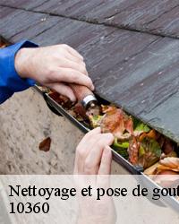 La vérification de l'état de la gouttière à Saint Usage dans le 10360