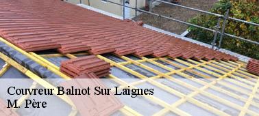 L'exposé des règlementations à respecter pour la pose des velux à Balnot Sur Laignes dans le 10110