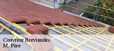 Les opérations effectuées par les couvreurs étancheurs en cas de fuite de toit dans la ville de Breviandes