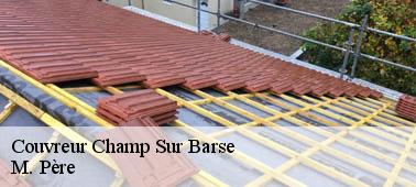 Les différents travaux classés parmi les travaux de zinguerie par la société M. Père à Champ Sur Barse dans le 10140