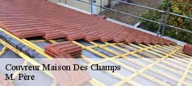 Les intérêts de l'usage des nettoyeurs à haute pression pour le nettoyage du toit dans la ville de Maison Des Champs