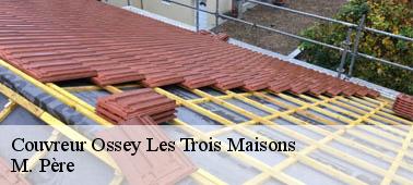 Le couvreur et son outillage pour tout nettoyage de la toiture à Ossey Les Trois Maisons dans le 10100