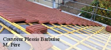 Le couvreur de la société M. Père et les missions de rénovations au niveau de la toiture à Plessis Barbuise dans le 10400