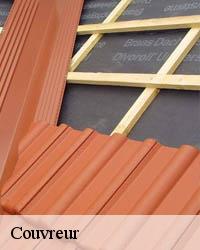 Profitez d’un couvreur spécialiste en réparation de toiture à Romaines