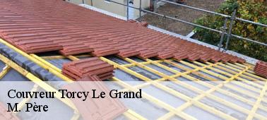 L'enlèvement des déchets et des crasses qui peuvent envahir la toiture dans la ville de Torcy Le Grand