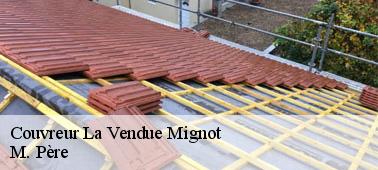 L'usage modérée de l'eau de javel pour nettoyer le toit d'un bâtiment à La Vendue Mignot dans le 10800